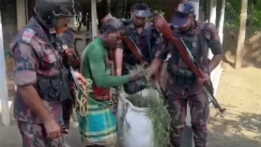 লুঙ্গি পরা মাসেদুলের ঘাসের বস্তায় মিললো ৫ বান্ডেল ইউএস ডলার